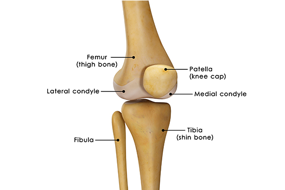 What is Patella Tendonitis and how to treat it